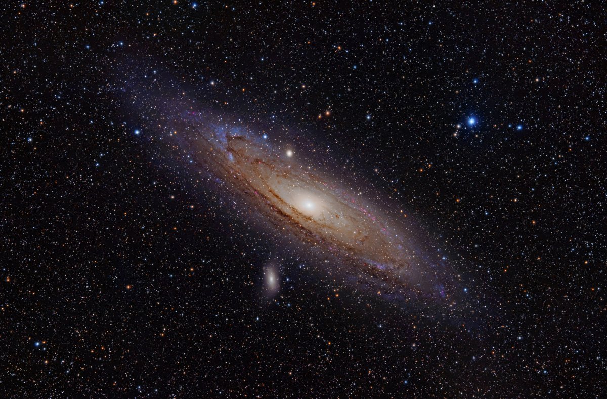 Galaxy Alpha появились на просторах России